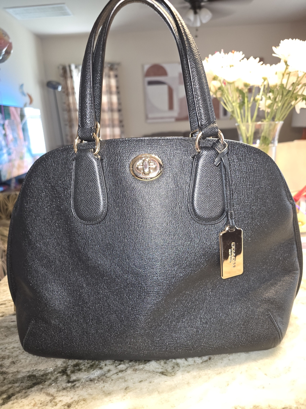 Coach Prince St Satchel - Picture 2 of 6